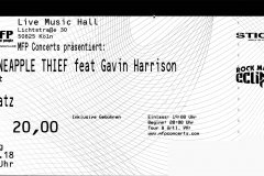 20180928_The_Pineapple_Thief